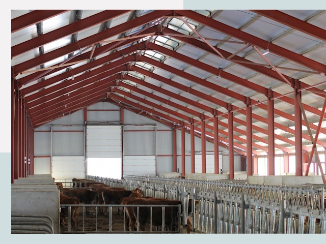 Строительство коровников в Киржаче