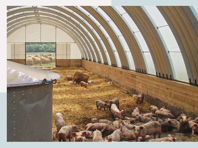 Строительство свинарников в Киржаче