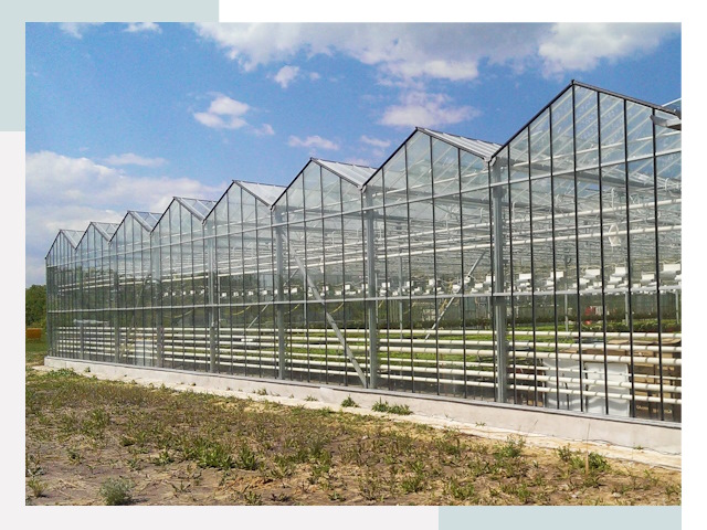 Строительство теплиц в Киржач от 619 руб. за м²